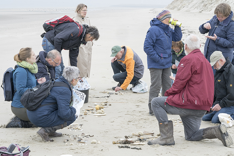 Word lid van KNNV Walcheren