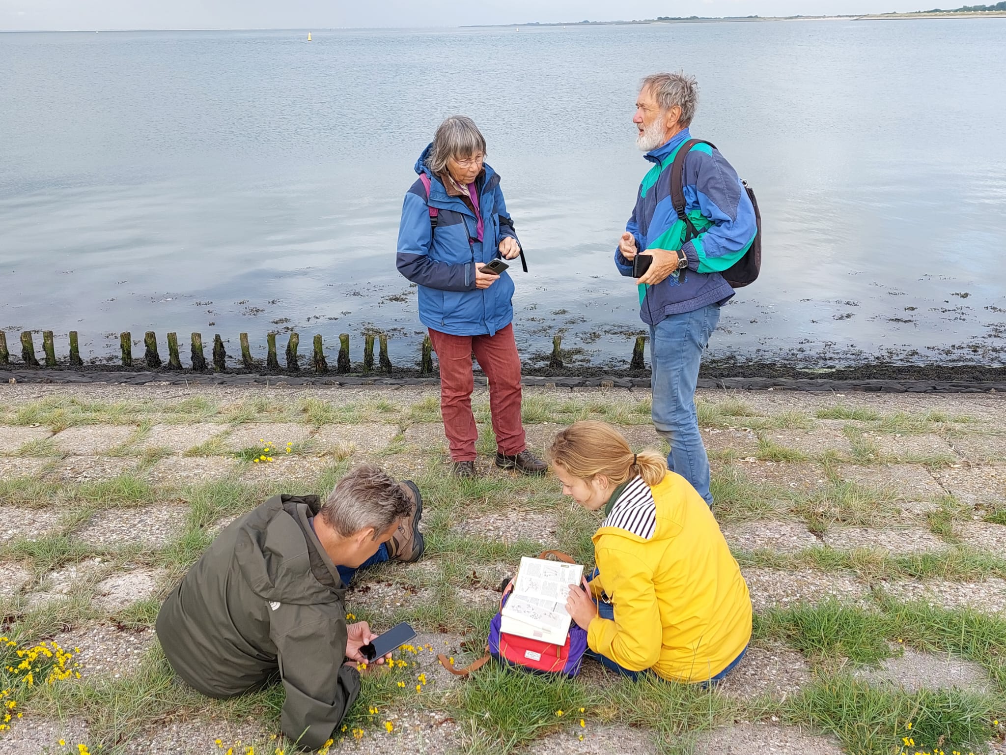 Plantenwerkgroep