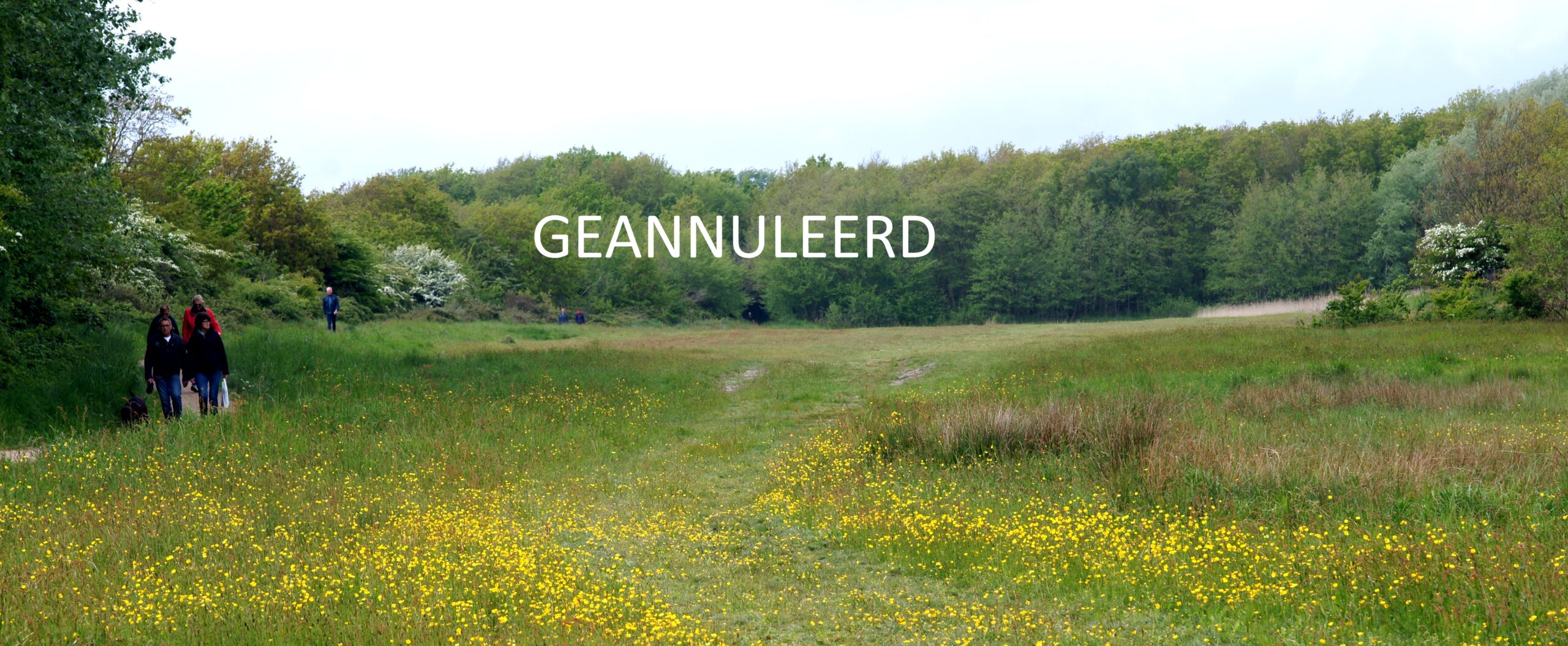 Excursie Vroongebied Valkenisse Plantenwerkgroep